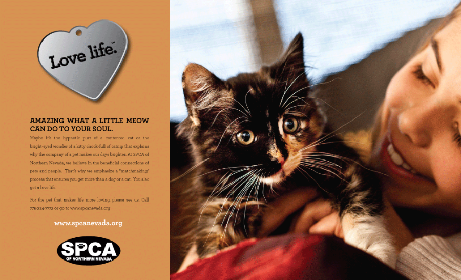 Print Ad for SPCA by Stan Can Design