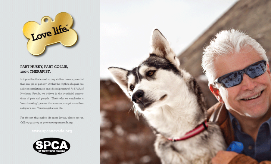 Print Ad for SPCA by Stan Can Design